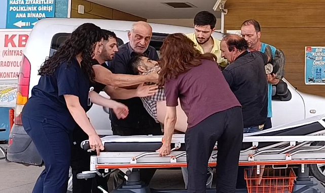 Mantar toplamak için gittiği ormanda kayalıklardan düşen imam ağır yaralandı