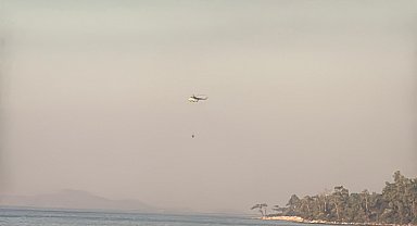 Milas'ta orman yangını