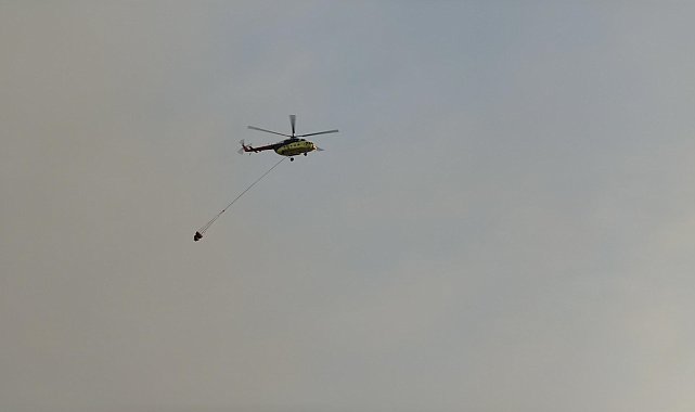 Muğla Seydikemer'deki orman yangınına havadan müdahale yeniden başladı
