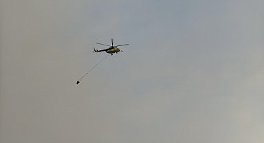 Muğla Seydikemer'deki orman yangınına havadan müdahale yeniden başladı