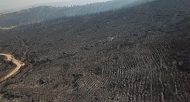 Muğla Seydikemer'deki orman yangınına havadan müdahale yeniden başladı