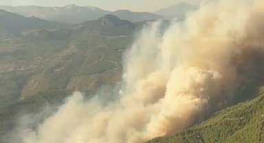 Muğla'da orman yangını