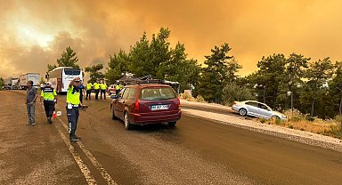Muğla'da orman yangını