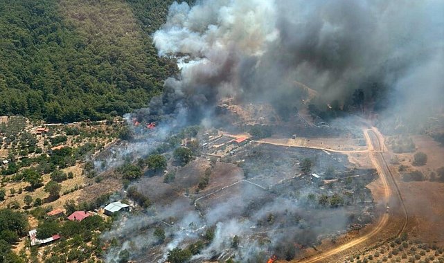 Muğla'da orman yangını