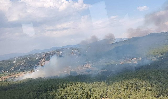 Muğla'da tarım arazisinde çıkan yangın ormana sıçradı