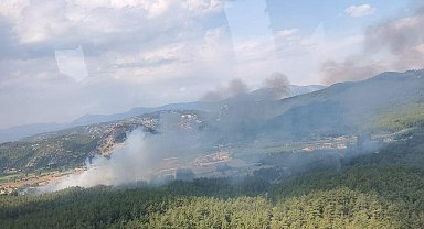 Muğla'da tarım arazisinde çıkan yangın ormana sıçradı