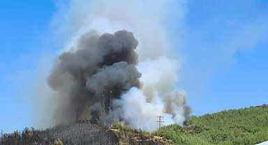 Muğla'daki yangınlarda 5 bin hektardan fazla alan zarar gördü