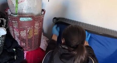 Nevşehir merkezli 8 ilde DEAŞ operasyonu: 5 tutuklama