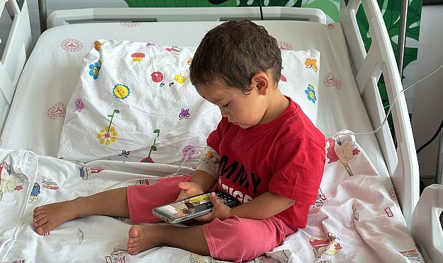 Niğde'de sahipli köpeğin saldırdığı 2 yaşındaki Egemen'in başına 22 dikiş atıldı