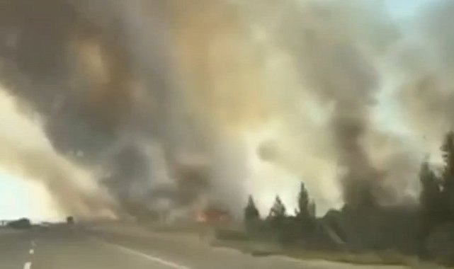 Nusaybin'de mayınlı sınır hattında anız yangını