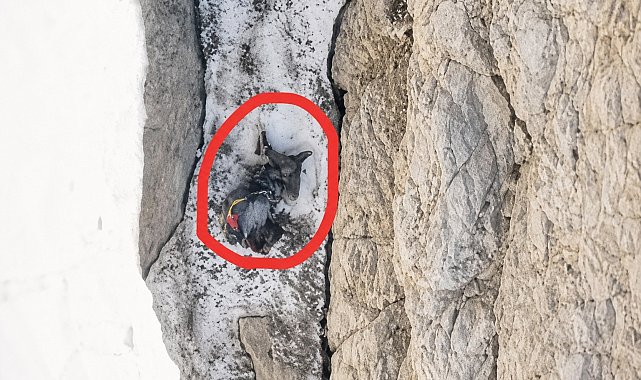 Ölen dağcının, 200 metre sürüklendikten sonra ipte asılı kaldığı bölge dronla görüntülendi