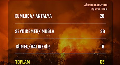 Orman yangınlarında 65 bağımsız bölüm ağır hasar aldı