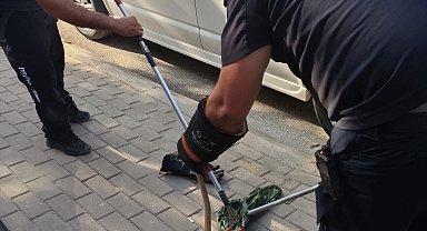 Park halindeki minibüsün motor kısmına giren yılanı itfaiyeciler çıkarıldı