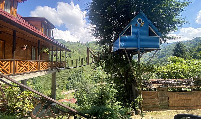 Rize'de iki kardeşin ağaç evine balkondan asma köprüyle ulaşım