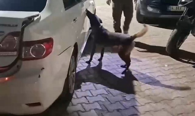 Sakarya'da uyuşturucu operasyonu: 2 tutuklama