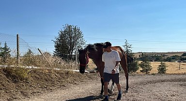Sakatlanan yarış atına eğitim okulunda fizik tedavi