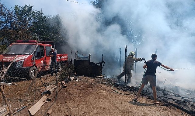 Silivri'de çiftlikte yangın; bahçedeki odunluk küle döndü