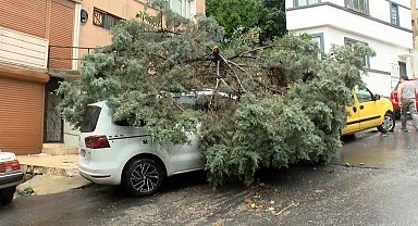Şişli'de sağanak; 2 ağaç otomobilin üzerine devrildi-1