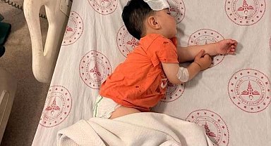 Sokak köpeğinin saldırdığı çocuk yaralandı