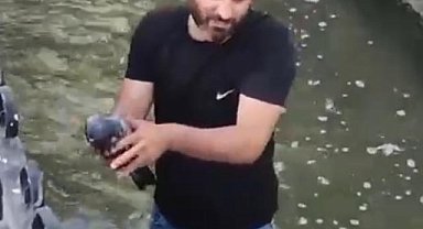 Su kanalına düşen güvercini kurtarıp, 'Boncuk' ismini verdi