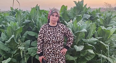 Tarlada beyin kanaması geçiren 3 çocuk annesi yaşamını yitirdi
