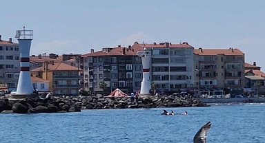 Tekirdağ açıklarında yunuslar görüntülendi