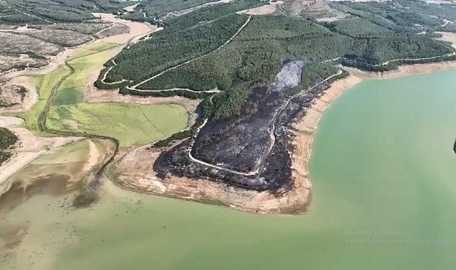 Tekirdağ'da yangında 80 dekar orman zarar gördü
