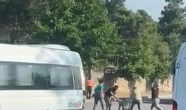 Trafikte tartıştıkları kişiyi sopayla dövdüler: 4 gözaltı