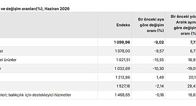 TÜİK: Tarım üretici fiyatları aylık yüzde 9,02 azaldı