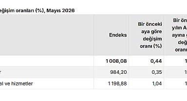 TÜİK: Tarımsal girdi fiyatları mayısta arttı