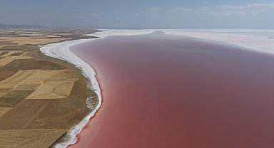 Tuz Gölü, pembe rengini aldı