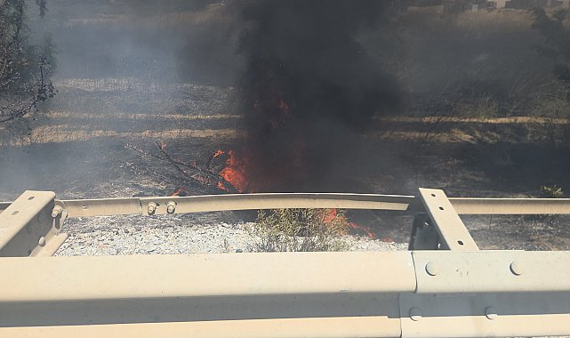 Yol kenarındaki ağaçlık alanda çıkan yangın kontrol altına alındı