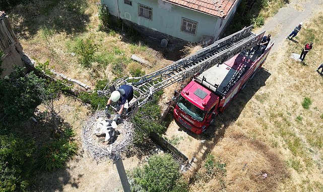 Yuvasında ayağına ip dolanan yavru leyleğe itfaiye yardımı