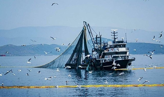 'Bu sene denizlerin padişahı palamut olacak'