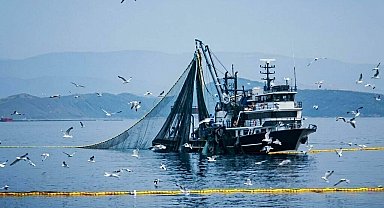 'Bu sene denizlerin padişahı palamut olacak'
