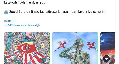 'Kahramanım Mehmetçik ve Vatan' resim yarışması halk oylamasına açıldı