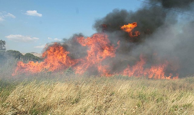 'Yangın riski yalnızca Ege ve Akdeniz'le sınırlı değil'