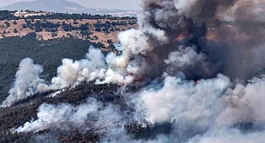 52 orman yangınına ilişkin soruşturma: 9 şüpheli tutuklandı