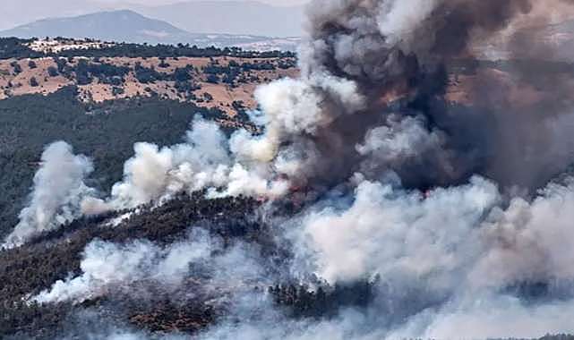 52 orman yangınına ilişkin soruşturma: 9 şüpheli tutuklandı