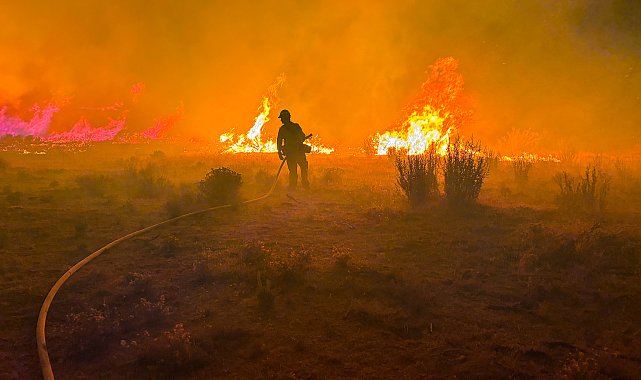 ABD'nin Nevada eyaletindeki orman yangınında 42 bin kişiye tahliye emri verildi
