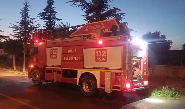 Afyonkarahisar'da orman yangını