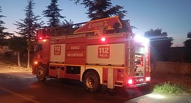 Afyonkarahisar'da orman yangını