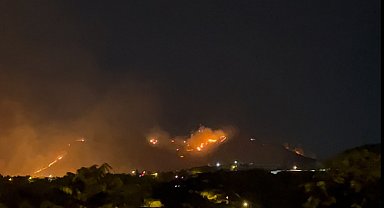 Ankara'da ağaçlık alanda yangın