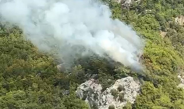Antalya'da orman yangını