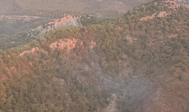 Antalya'daki orman yangını, 14 saat sonra kontrol altına alındı