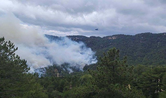 Antalya'daki orman yangını, 22 saatte kontrol altına alındı