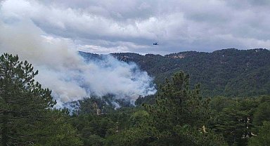 Antalya'daki orman yangını, 22 saatte kontrol altına alındı