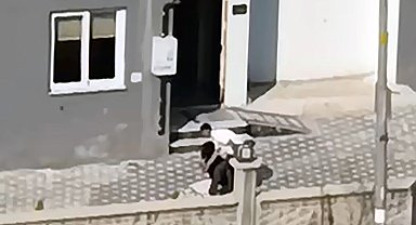 Apartman bahçesinde tartıştığı kadını dövdü