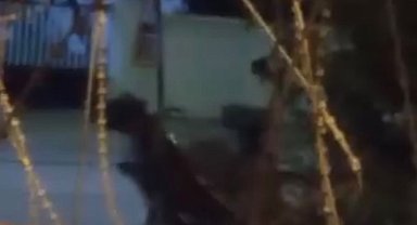 Arnavutköy'de ata şiddet uygulayan şüpheli kamerada