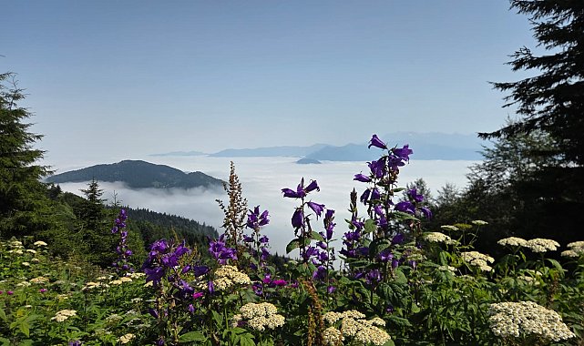 Artvin'de sis bulutu dronla görüntülendi